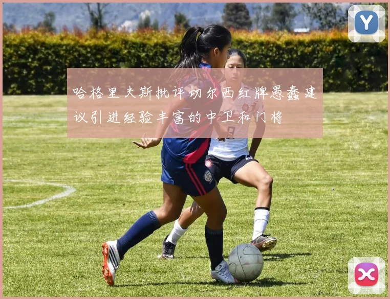 哈格里夫斯批评切尔西红牌愚蠢建议引进经验丰富的中卫和门将